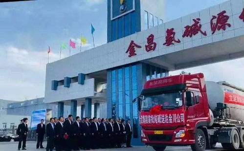 金泥集團20萬噸聯堿項目順利投產，純堿產品與翡翠玉石共譜發展新篇